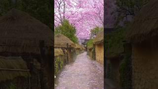 Most Beautiful Places in South Korea