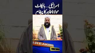 Boycott Without Violence: Tahir Ashrafi on Israel-Supporting Companies | Breaking News