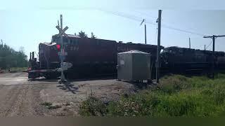 WEIRD NOISE! CP grain train (CP XXX) at Spence yard! 5 units and a wave!