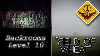 Level 10 Of The Backrooms - "Field Of Wheat"
