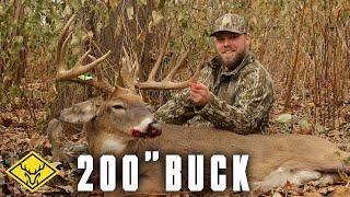 BRUTUS | 200" MEGA GIANT Pennsylvania Buck...