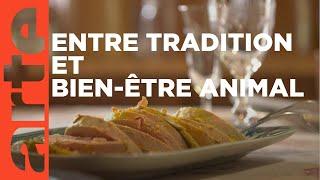 Le foie gras, un mets de choix ? | ARTE Regards