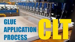 Glue application process in CLT manufacturing