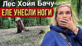 Самый аномальный лес в мире. Что мы там нашли? #vlog #travel #news