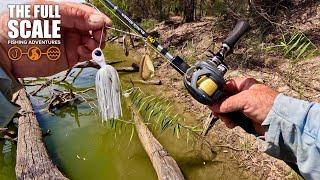 Land-based Murray River Spinnerbait Fishing | The Full Scale