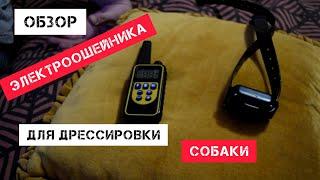 Электронный ошейник для дрессировки собак -  Pet DTC-800. Как работает электронный ошейник