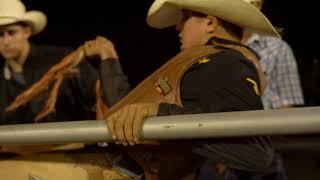 Slow Motion Bronc Rides - Tyler Jones on Juicy