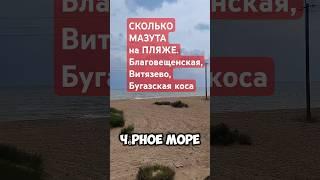 Сколько мазута в Черном море на берегу: Бугазская коса, Благовещенская, Витязево? #мастерhouse