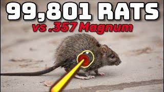 Is a 9mm Airgun Too Much Power for Rats?