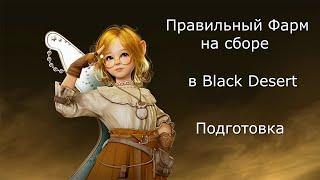 Сбор в Black Desert подготовка к фарму.(1Ч)