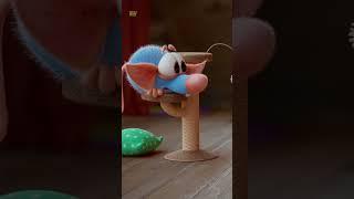 Kids Funny Cartoon - Cat #viral #funnyshorts #trending #cartoonvideos #shorts #kids