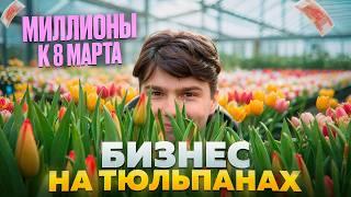 Цветочный бизнес. Выращивание тюльпанов. Выгонка тюльпанов к 8 марта. Бизнес в деревне.