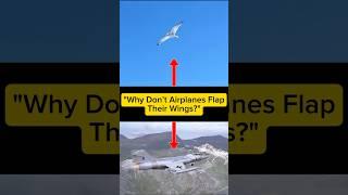 Because They’re Built Like Rockets, Not Birds #ScienceShorts #AirplaneFacts #FunLearning #WhyNot
