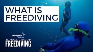 What Is Freediving - The Beginners Guide To Freediving