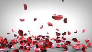 Falling Rose Petals