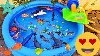 SEA ANIMALS FOR TODDLERS: SQUID, BLUE CRAB, STINGRAY, SAILFISH, LEAFY SEA DRAGON, AND OTHERS