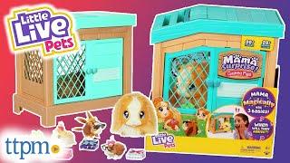 Little Live Pets Mama Surprise! Guinea Pigs from Moose Toys Review!