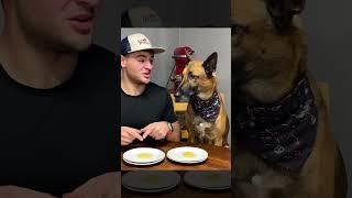 Family Dog Has Table Manners!