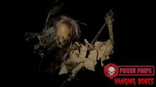 Hanging Bones Halloween Animatronic by Poison Props