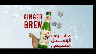 شراب الزنجبيل الطبيعي _ الملكي رويال | Ginger Brew Drink _ Al Malaky Royal