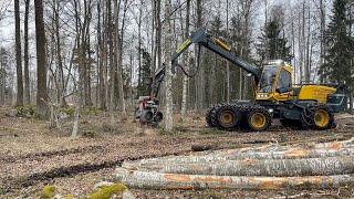 Köp Skördare Ecolog 590E med skördaraggregat Logmax 6000V på Klaravik