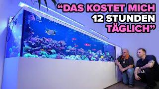 3500 LITER + KELLER - Thomas übertreibt die Aquaristik (dezent) 