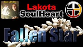 David Little Elk - Fallen Star - Lakota SoulHeart