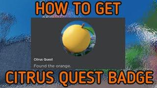 How to get the Citrus Quest badge! (Roblox Arsenal)