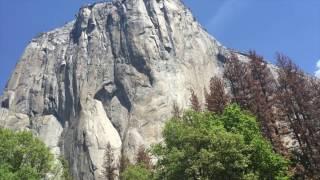 Yosemite in the Summer