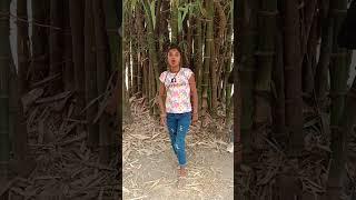 #video |काहे परी #aRajeev Yadav | kaha ke #tingling #bhojpuri song #anjalichaupalofficial