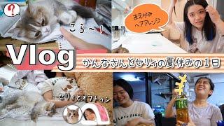 Vlogかんなさん、セリィにネコハラされていた夏休みの1日ｗ