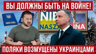 Вы должны ехать на фронт! Поляки возмущены украинцами! Польша новости