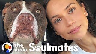 This Woman Couldn't Sleep — Until She Rescued a Pit Bull | The Dodo Soulmates