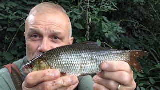 Small venues don’t necessarily mean tiny fish   StewartBloor.blog