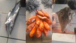 Fish Types in Indonesia Fish Market