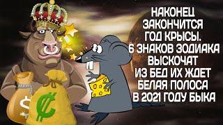 Наконец закончился год Крысы. 6 знаков зодиака выскочат из бед их ждет белая полоса в 2021 году Быка