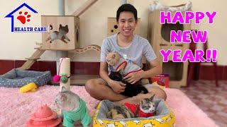 Introduction Animal’s Health Care | Happy New Year – 2021 Rescuing Goals