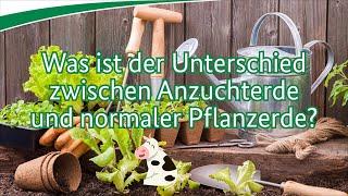 Was ist der Unterschied zwischen Anzuchterde und normaler Pflanzerde?