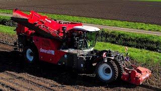 Aardappels rooien | NEW | Dewulf RA3060 | Potato harvest | Kartoffelernte | Aardappeloogst 2024