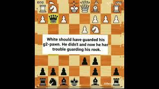 Best chess tricks and openings Vienna game