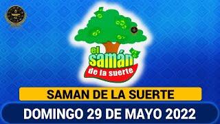 SAMÁN DE LA SUERTE Resultado del DOMINGO 29 DE MAYO de 2022 