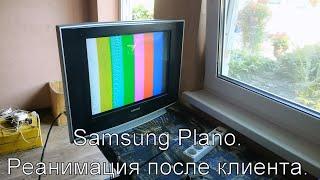 Ремонт Samsung Plano, шасси S16C. Нет изображения и звука. Телевизор сверчит.