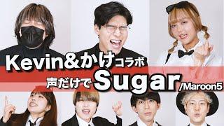 【Kevin & かけと歌う】Sugar / Maroon5 アカペラカバー Rabbit Cat