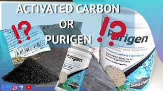 DIFFERENCE BETWEEN ACTIVATED CARBON AND SEACHEM PURIGEN