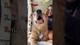 Best "Wiggle your ears"!!Part 2