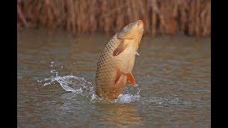 7 ДНЕЙ ПОД ВОДОЙ. КАК БЫЛО НА САМОМ ДЕЛЕ.