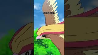 Pidgeot Pokémon overview #pokemon #gaming #pokemongo #shinypokemon #nintendo #pokémon #facts