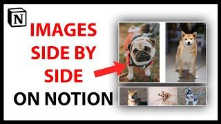 How to Put Images Side by Side in Notion