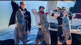 HUGE Fish Brought to this Arizona Fishing Tournament (Bartlett Lake)