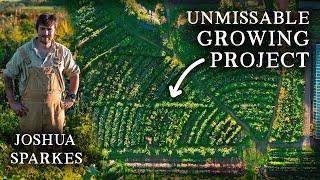 A Mind-Blowing Vegetable Garden | Joshua Sparkes’ Edible Polyculture Paradise